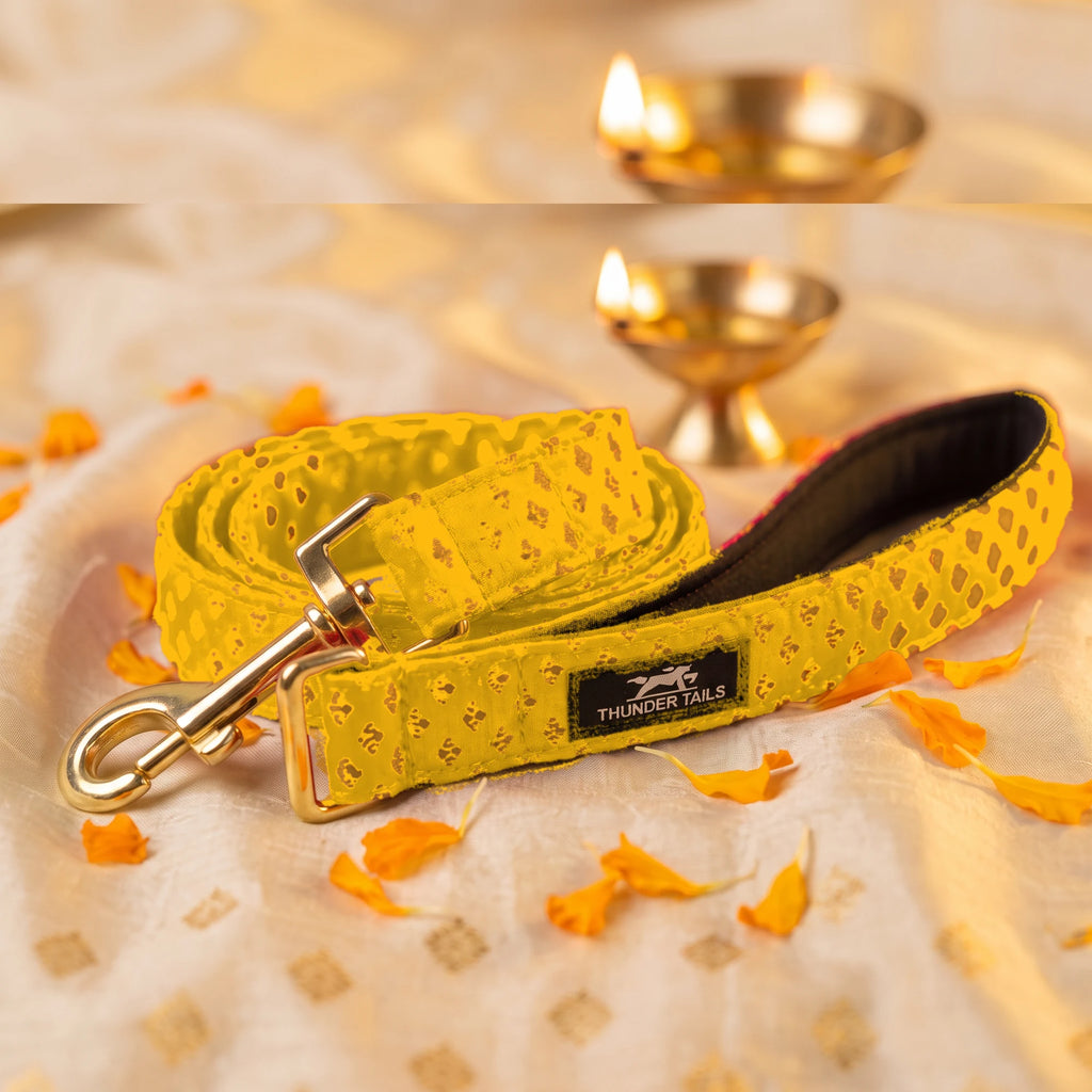Thunder Tails Rangrez yellow brocade dog leash with gold hook and padded handle