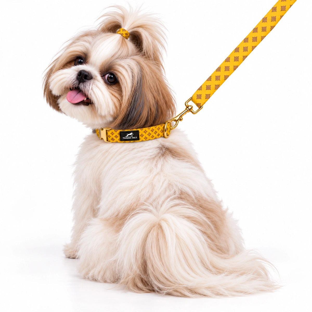 Thunder Tails Rangrez Collar + Leash Set - Yellow