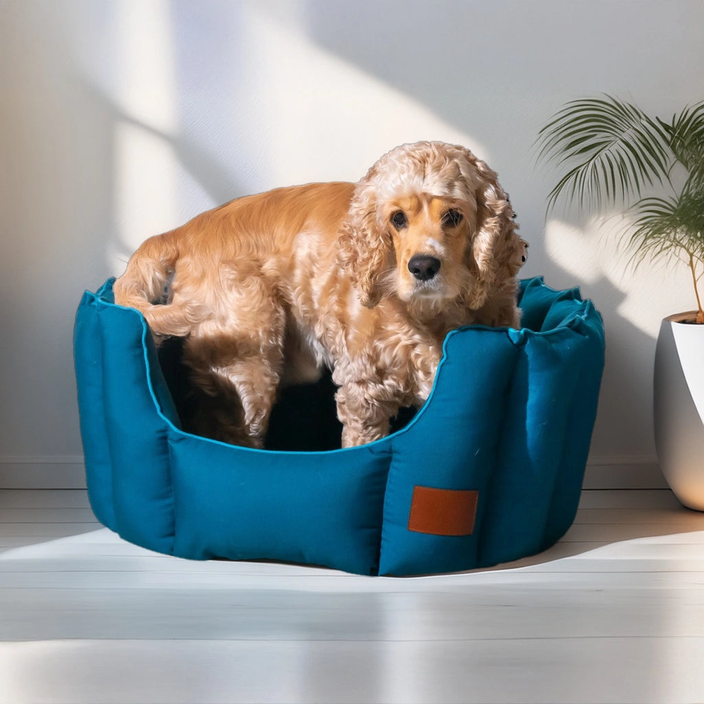 Thunder Tails Snuggle Dog Beds- Petrol