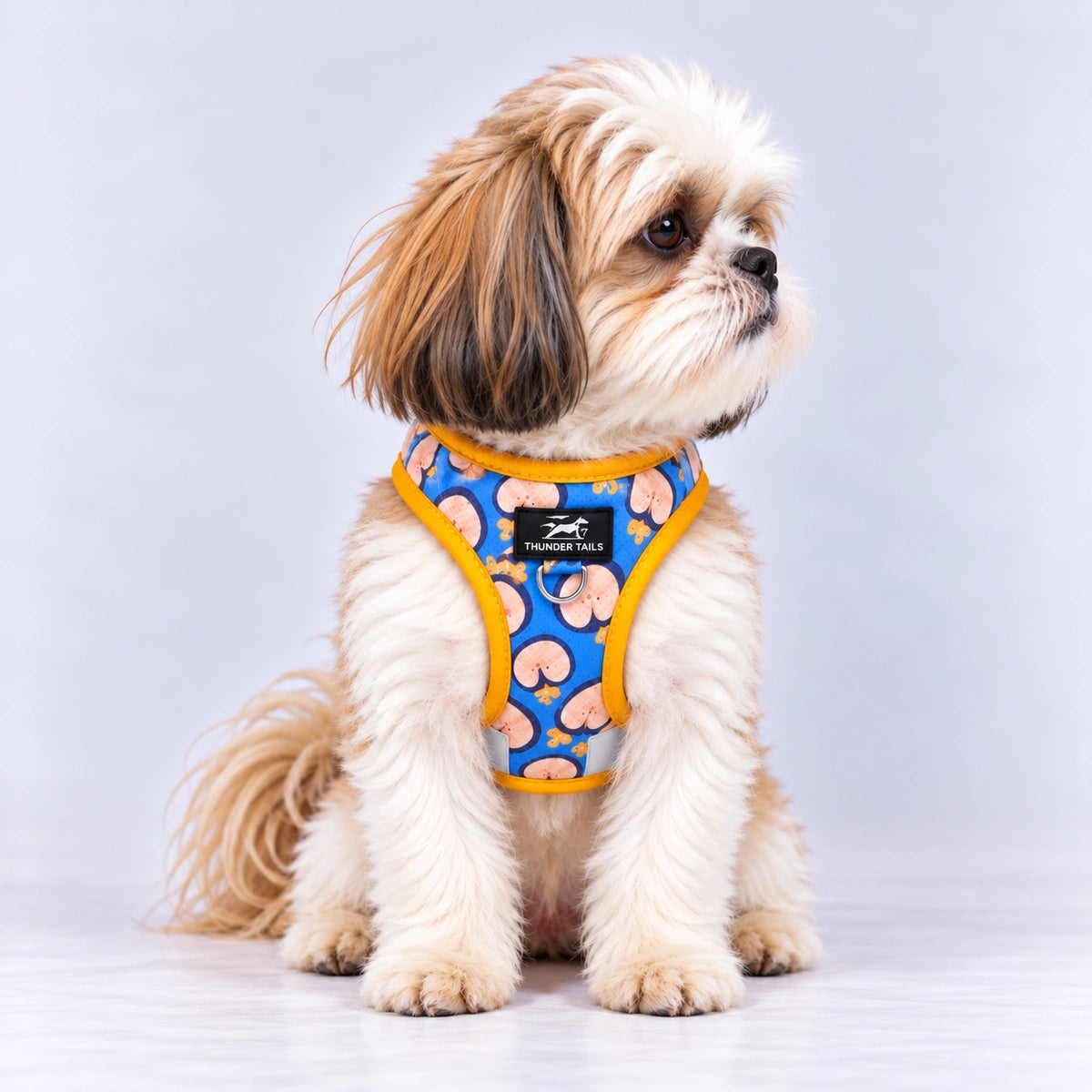 Thunder Tails Dog Step In Harness & Leash Set- Blue Yellow