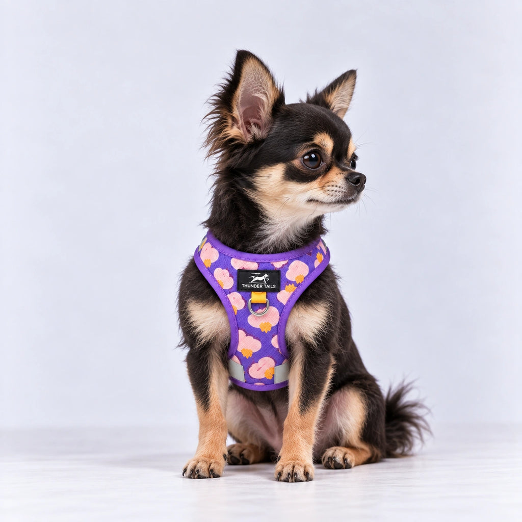 Thunder Tails Dog Step In Harness & Leash Set- Lilac Yellow