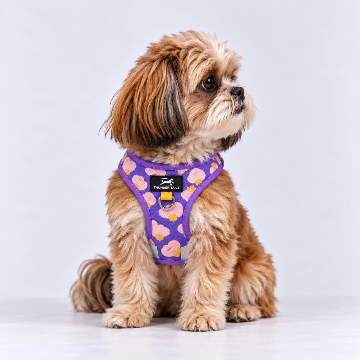 Thunder Tails Dog Step In Harness & Leash Set- Lilac Yellow