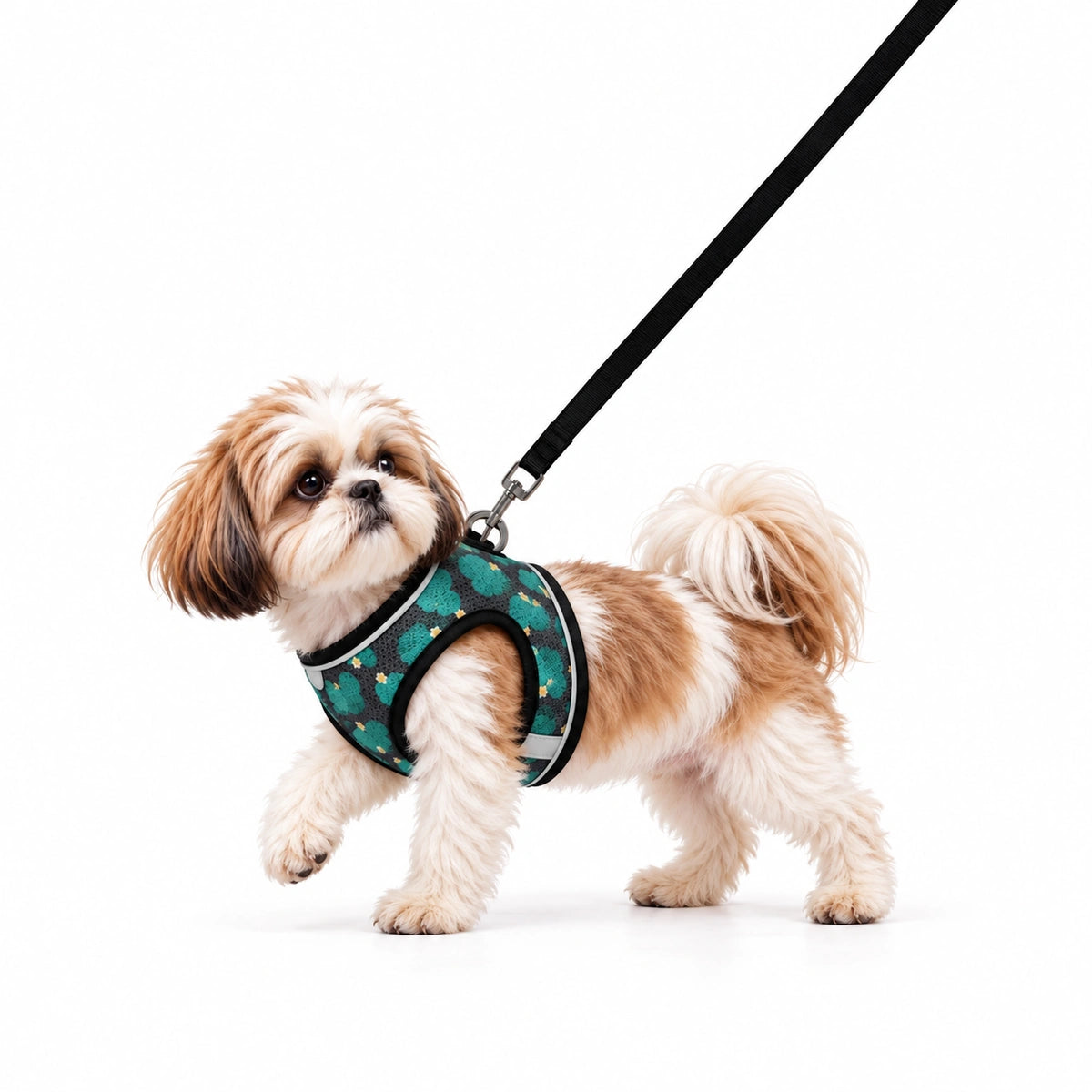 Thunder Tails Dog Step In Harness & Leash Set- Black Green