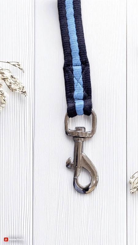 Navy/Sky Blue