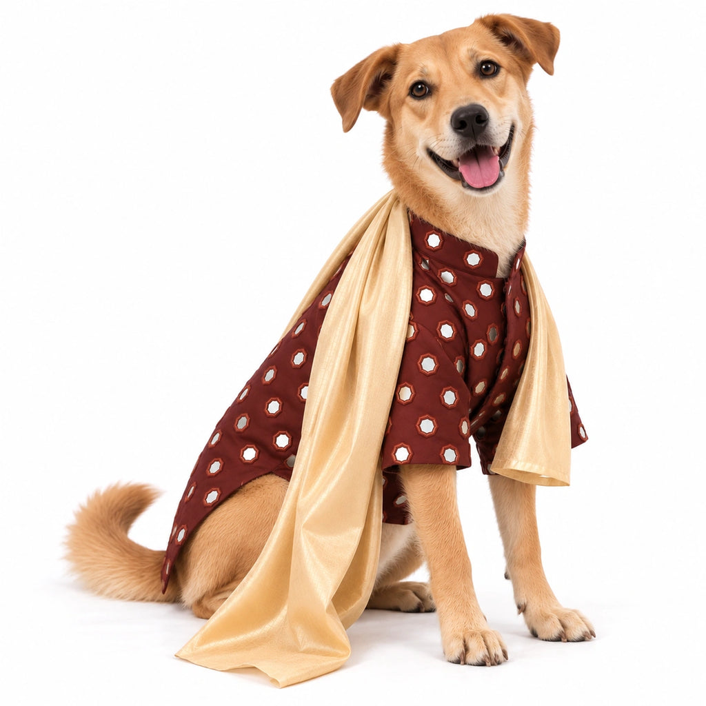 Thunder Tails Timeless Tails Dog Kurta with Dupatta - Chocolate Browm
