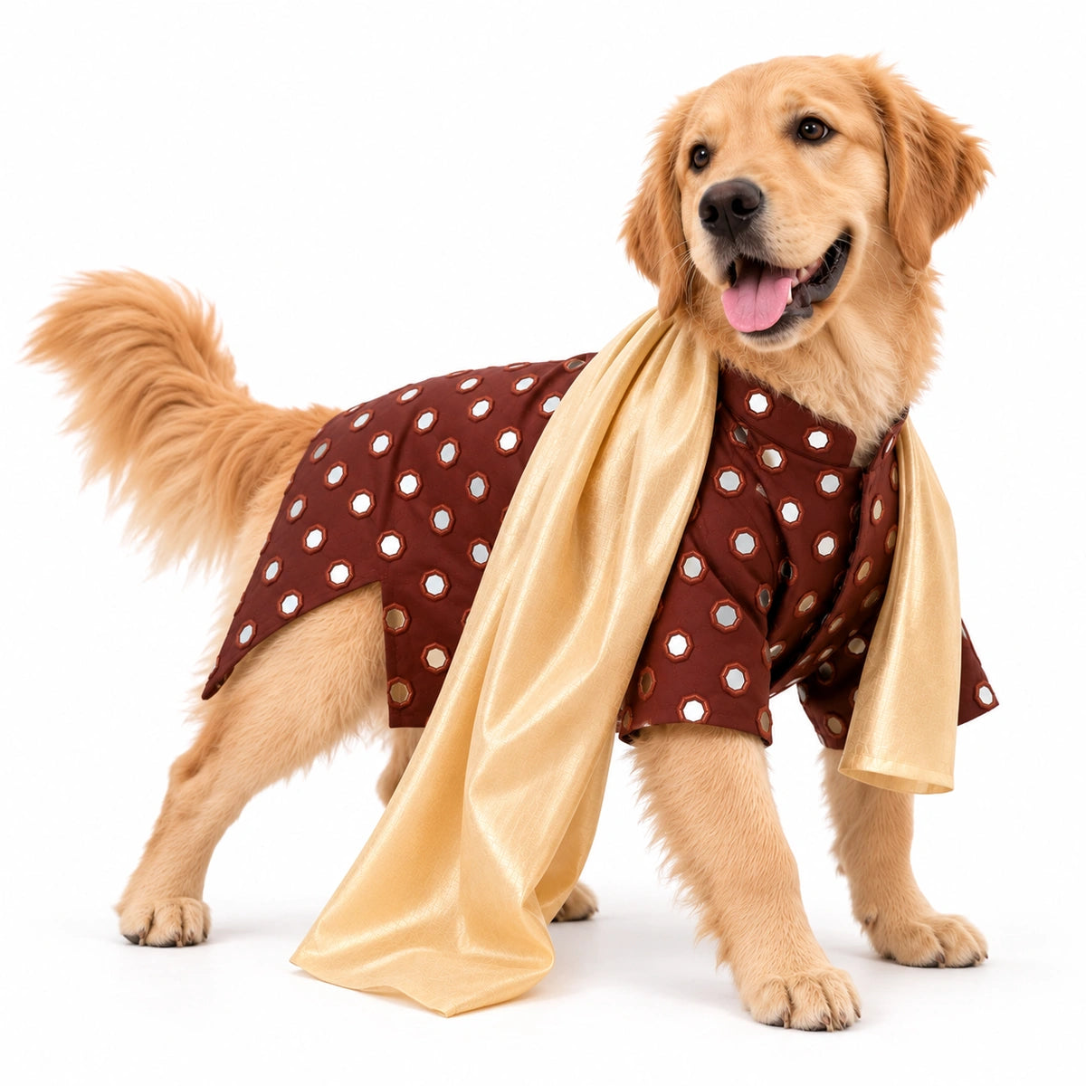 Thunder Tails Timeless Tails Dog Kurta with Dupatta - Chocolate Browm
