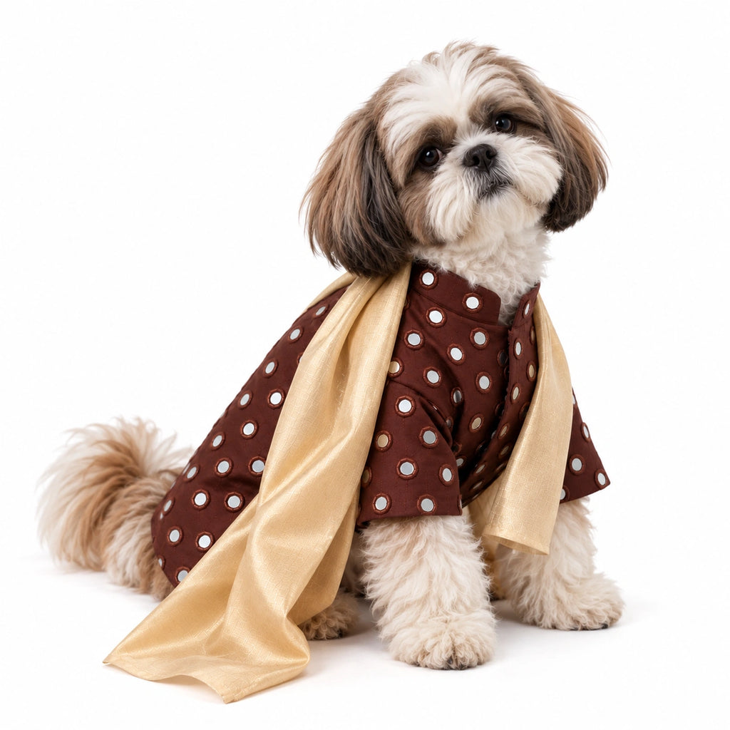 Thunder Tails Timeless Tails Dog Kurta with Dupatta - Chocolate Browm