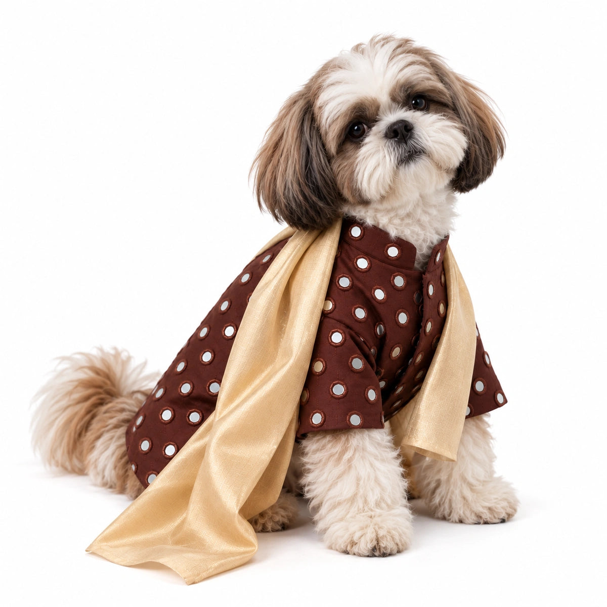Thunder Tails Timeless Tails Dog Kurta with Dupatta - Chocolate Browm