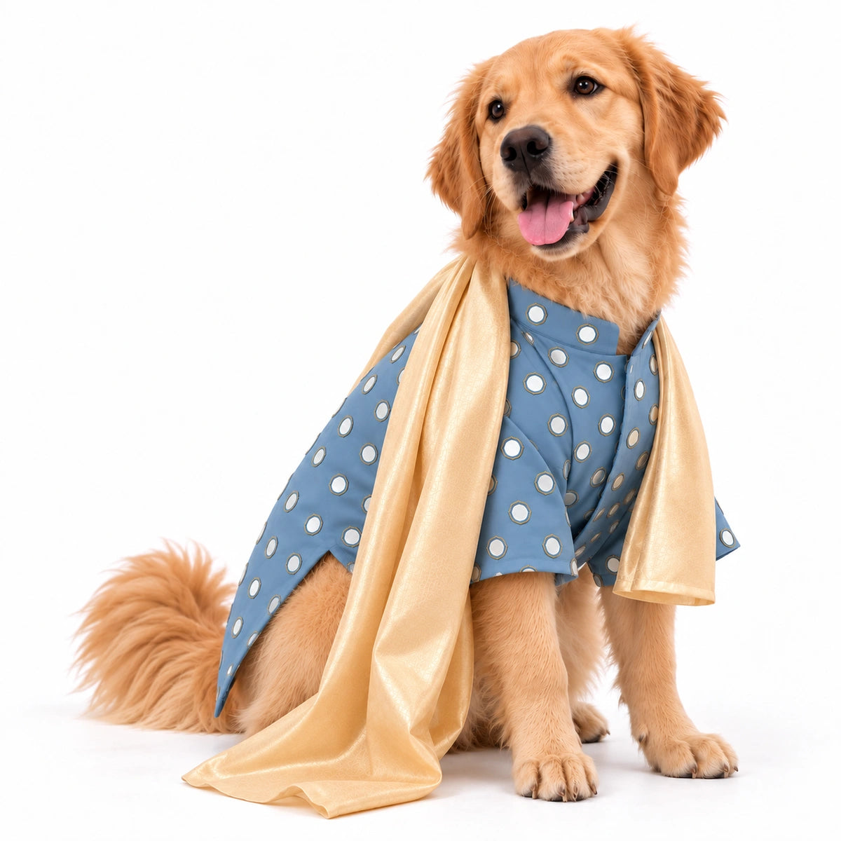 Thunder Tails Timeless Tails Dog Kurta with Dupatta - Blue