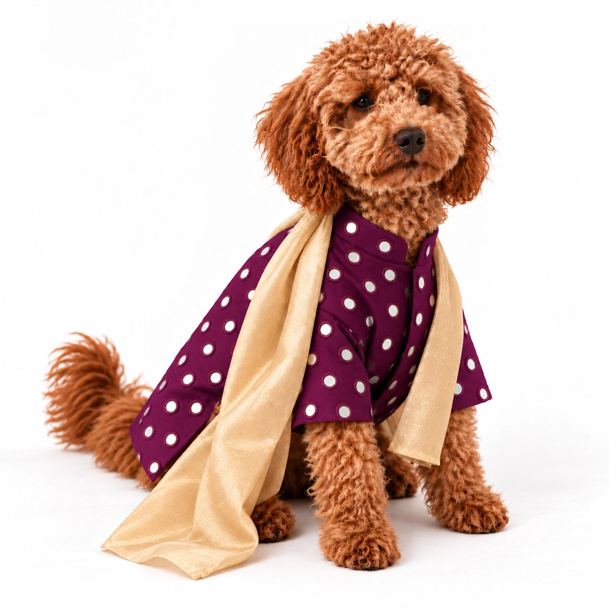 Thunder Tails Timeless Tails Dog Kurta with Dupatta - Wine