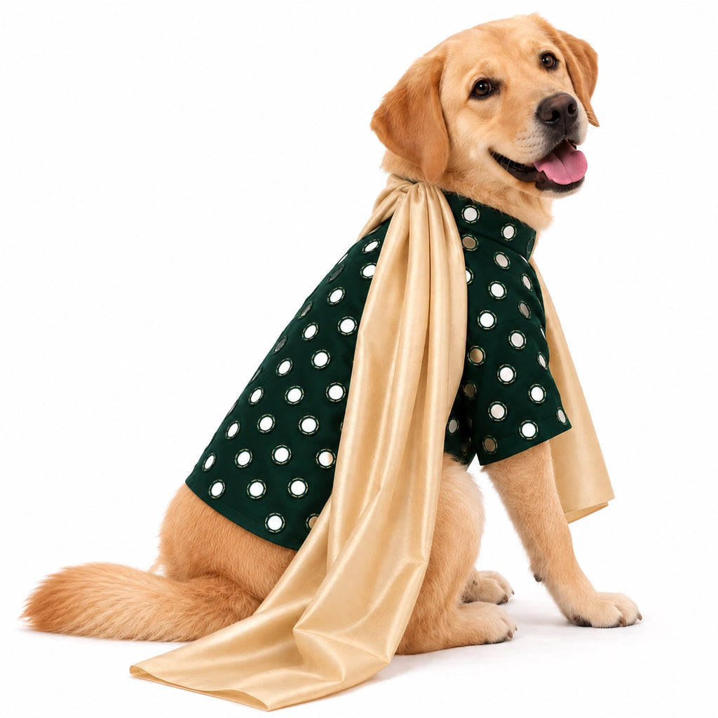 Thunder Tails Timeless Tails Dog Kurta with Dupatta - Green