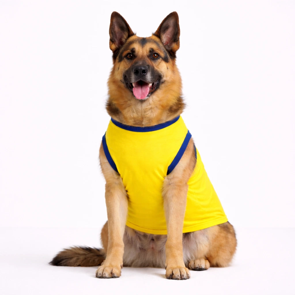 Thunder Tails Pets Premier League Graphic T-shirt - Chennai Super Pets