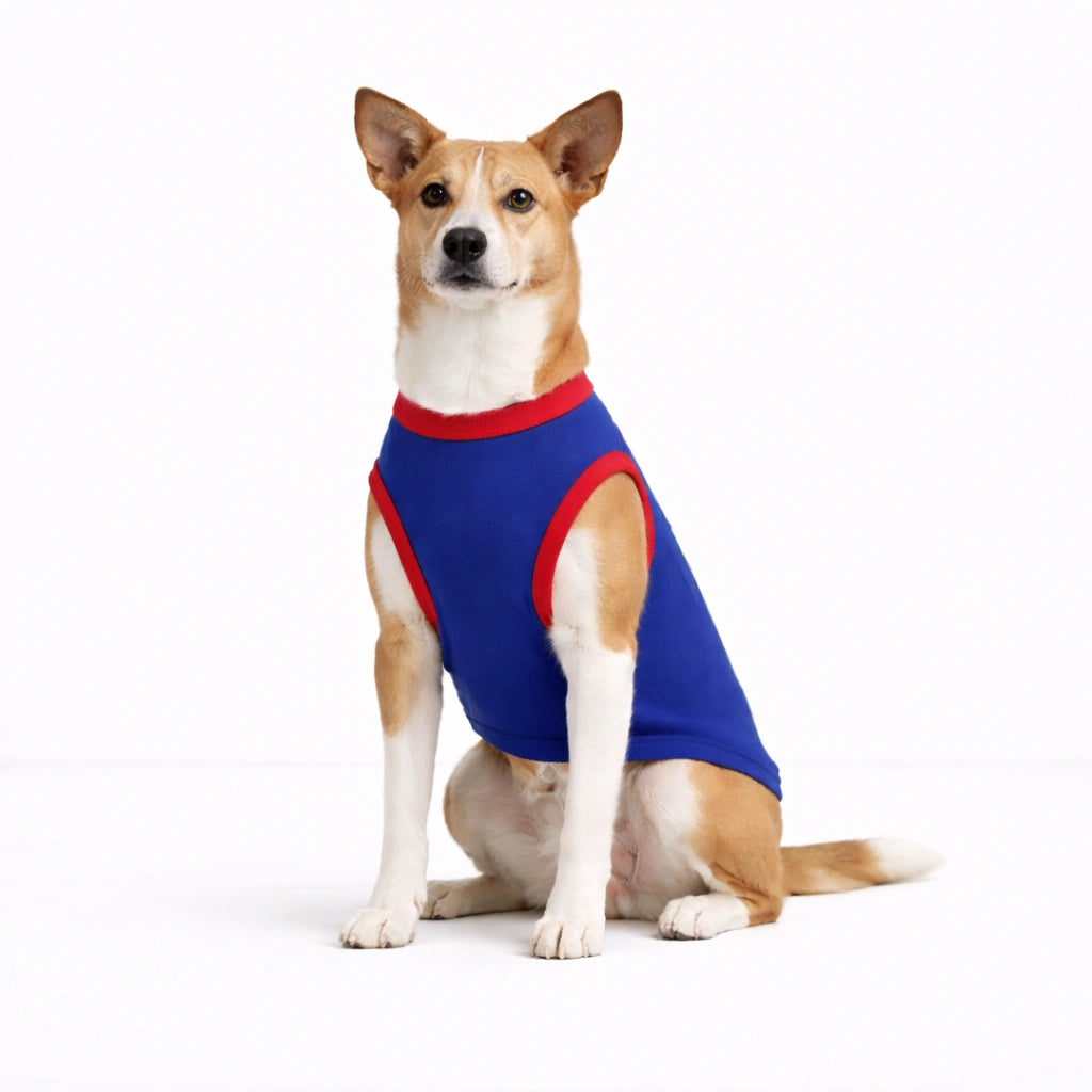 Thunder Tails Pets Premier League Graphic T-shirt - Delhi Cuddlers