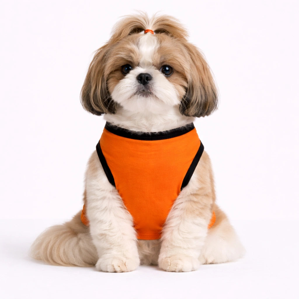 Thunder Tails Pets Premier League Graphic T-shirt - Furrisers Hyderabad