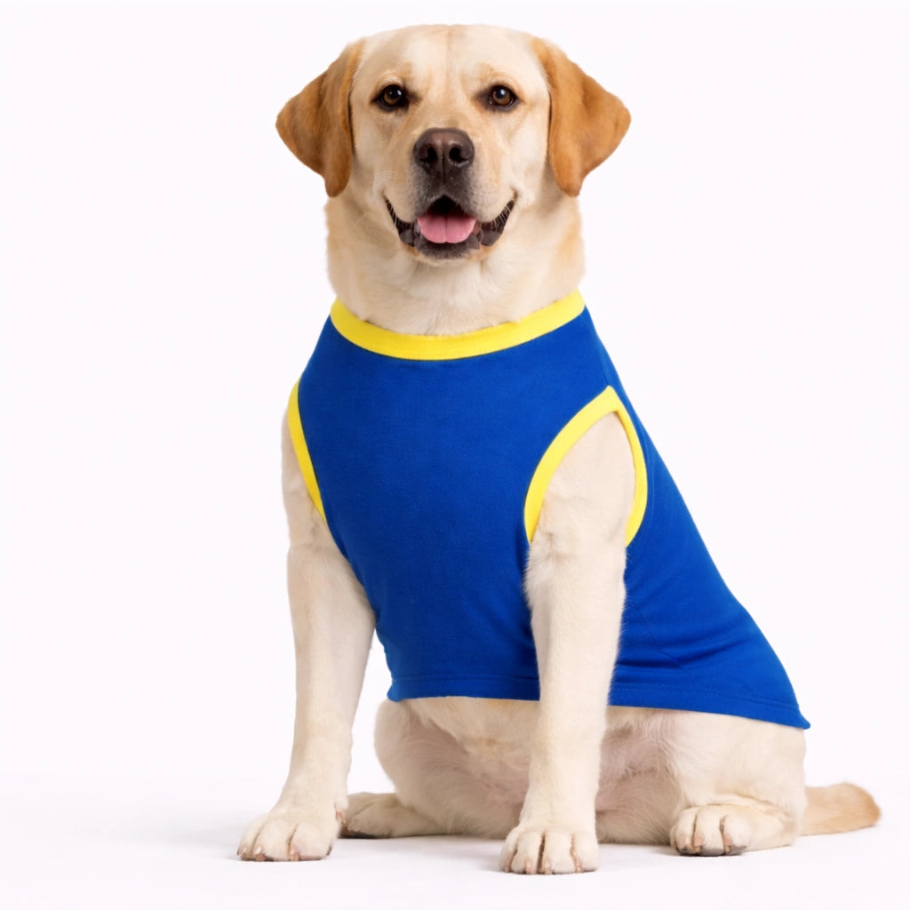 Thunder Tails Pets Premier League Graphic T-shirt - Mumbai Pawdians