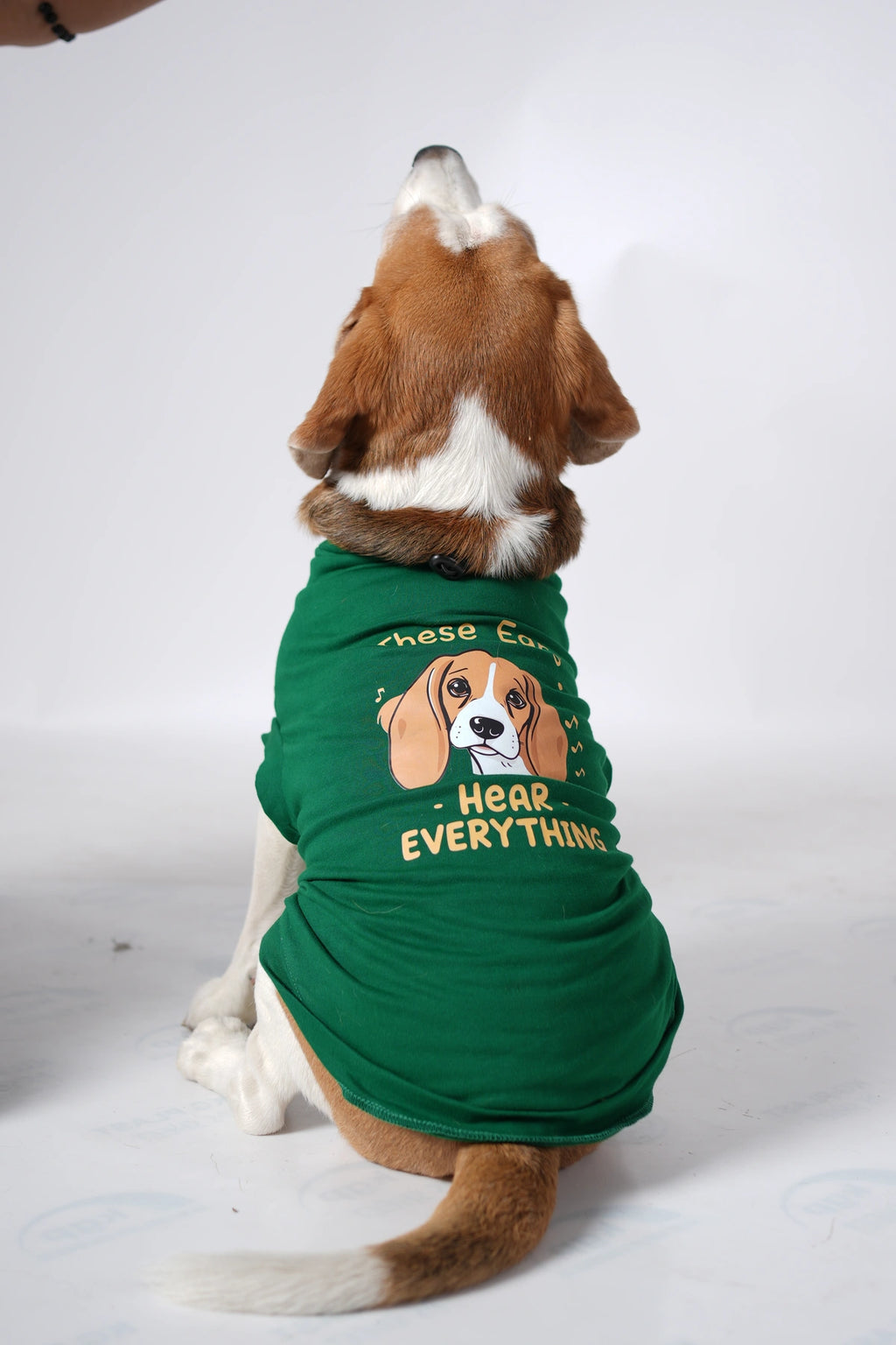 Thunder Tails BEAGLE Adjustable Graphic T-shirt