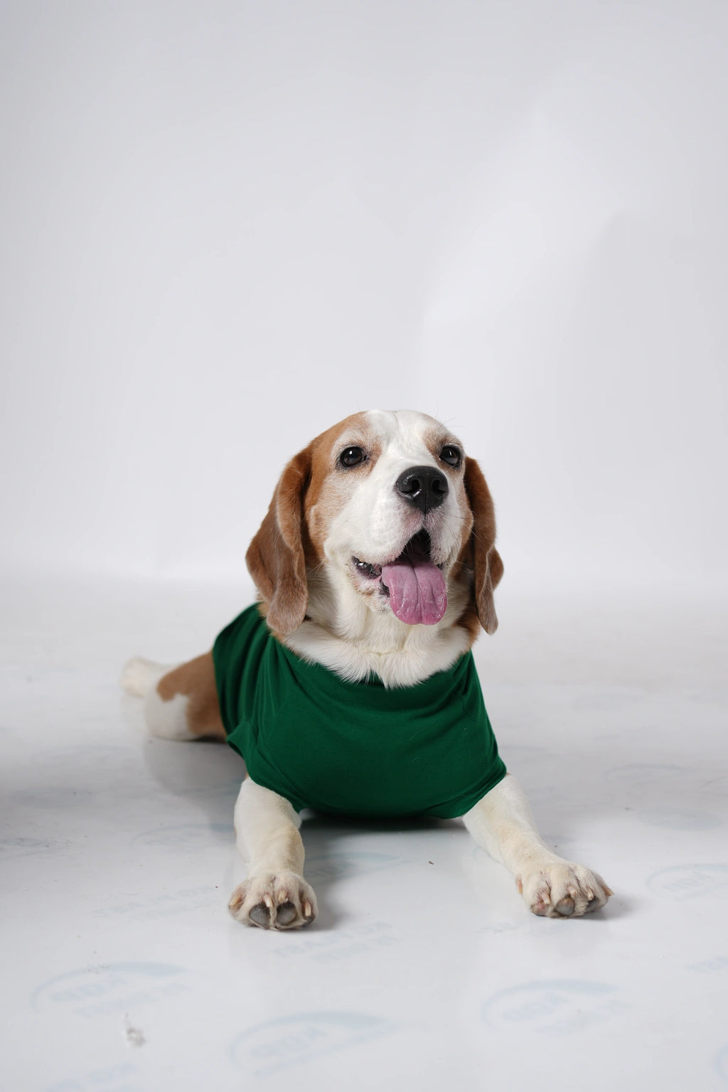 Thunder Tails BEAGLE Adjustable Graphic T-shirt