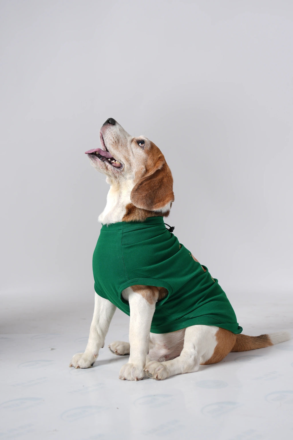 Thunder Tails BEAGLE Adjustable Graphic T-shirt