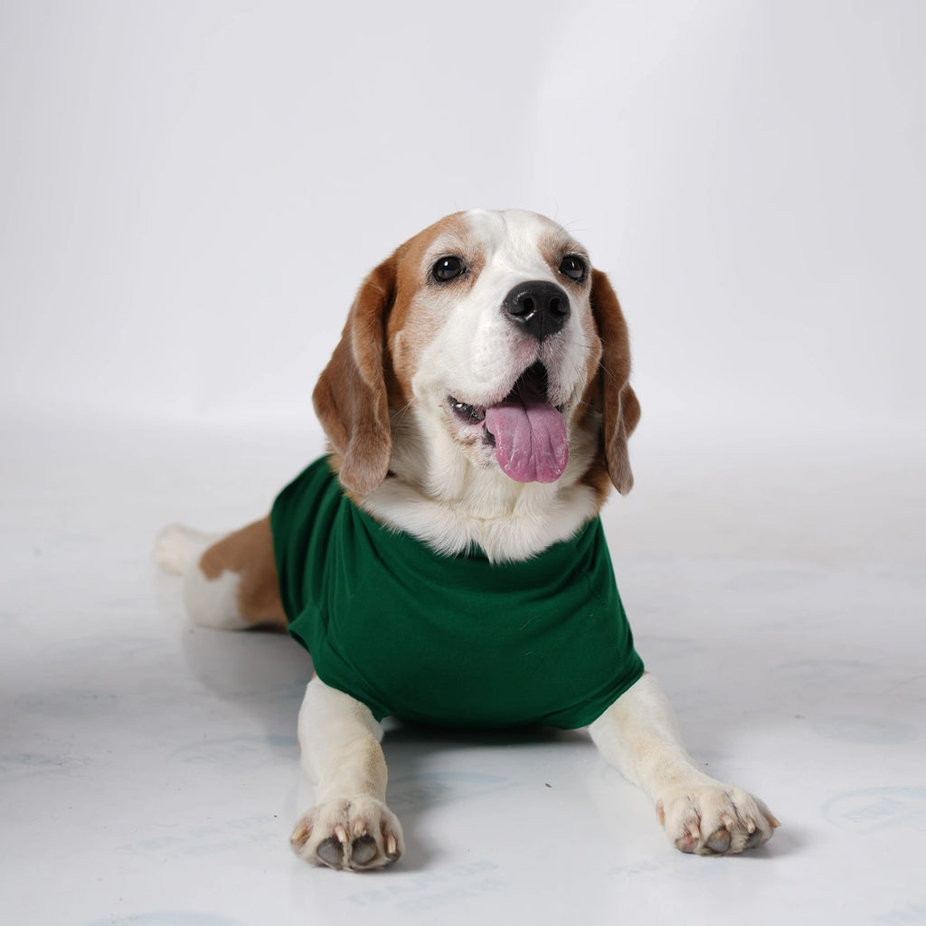 Thunder Tails BEAGLE Adjustable Graphic T-shirt