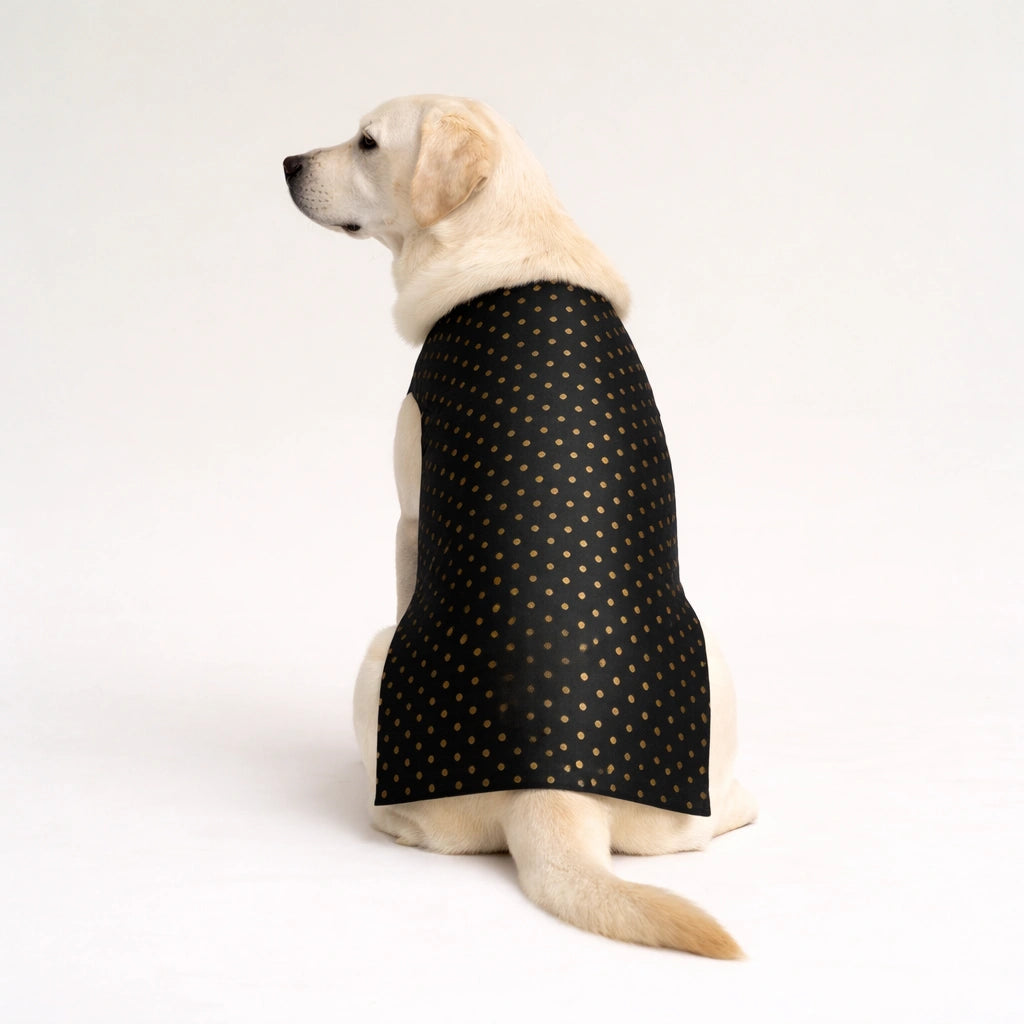Thunder Tails Black Polka Festive Sherwani