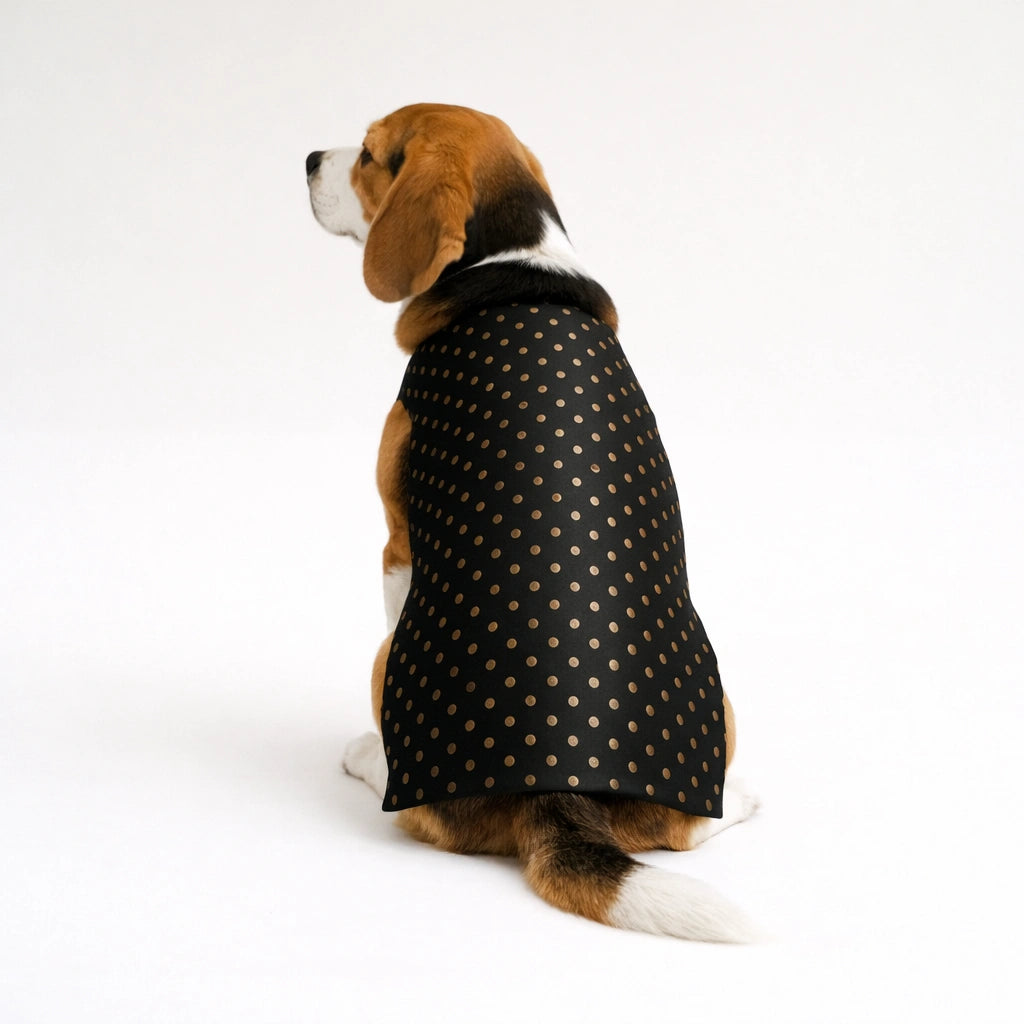 Thunder Tails Black Polka Festive Sherwani