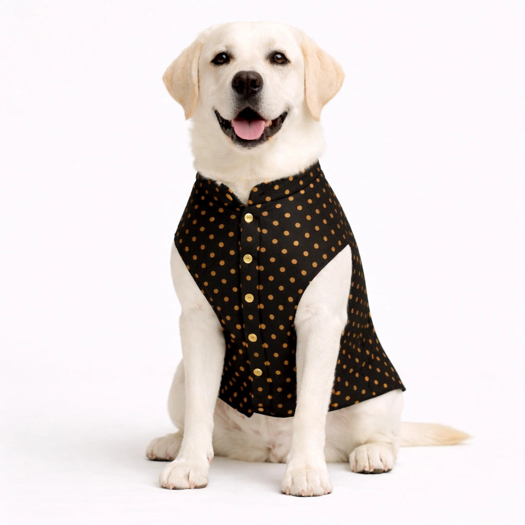 Thunder Tails Black Polka Festive Sherwani