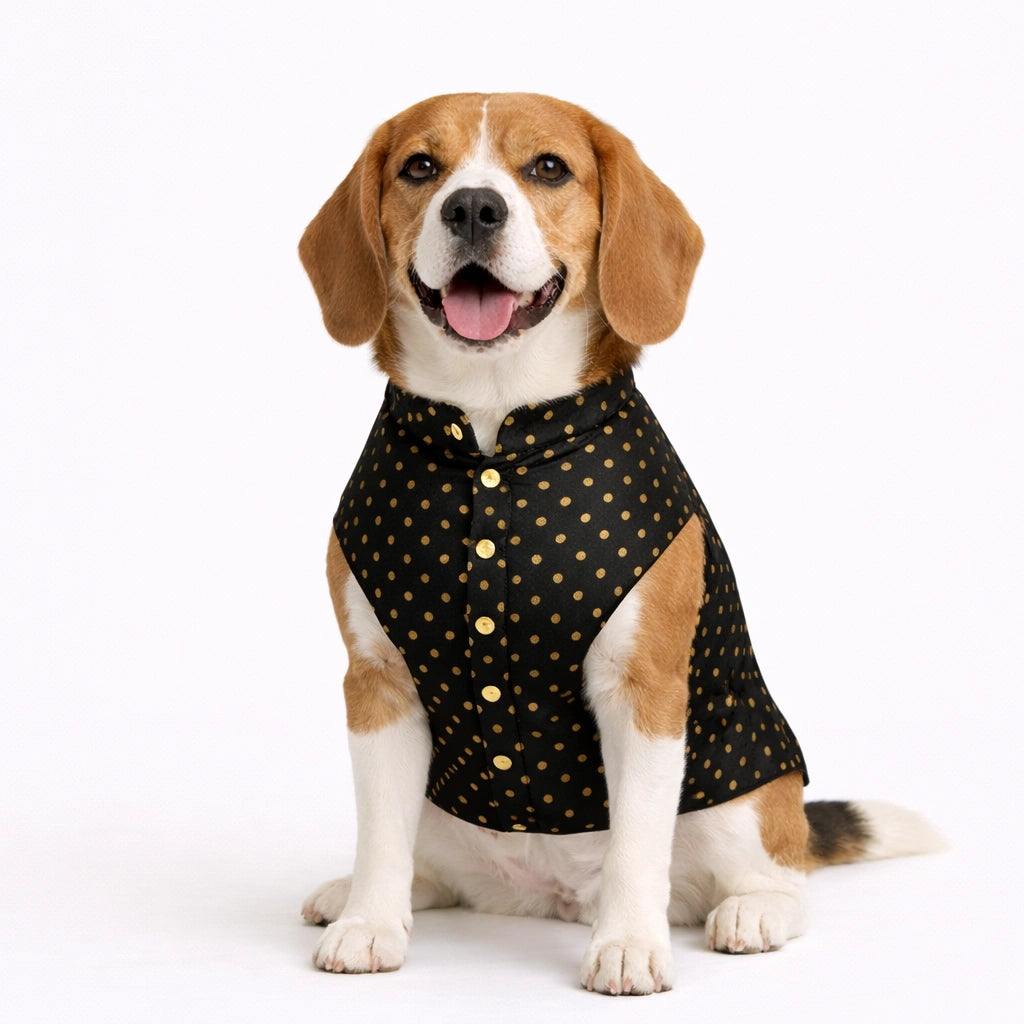 Thunder Tails Black Polka Festive Sherwani