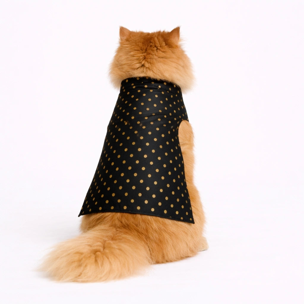 Thunder Tails Black Polka Cat Festive Sherwani
