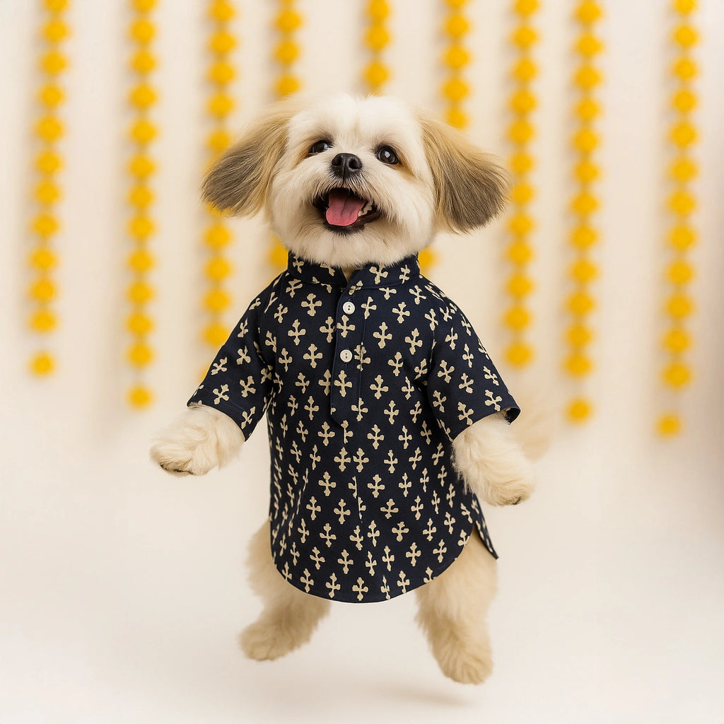 Thunder Tails Black Festive Kurta