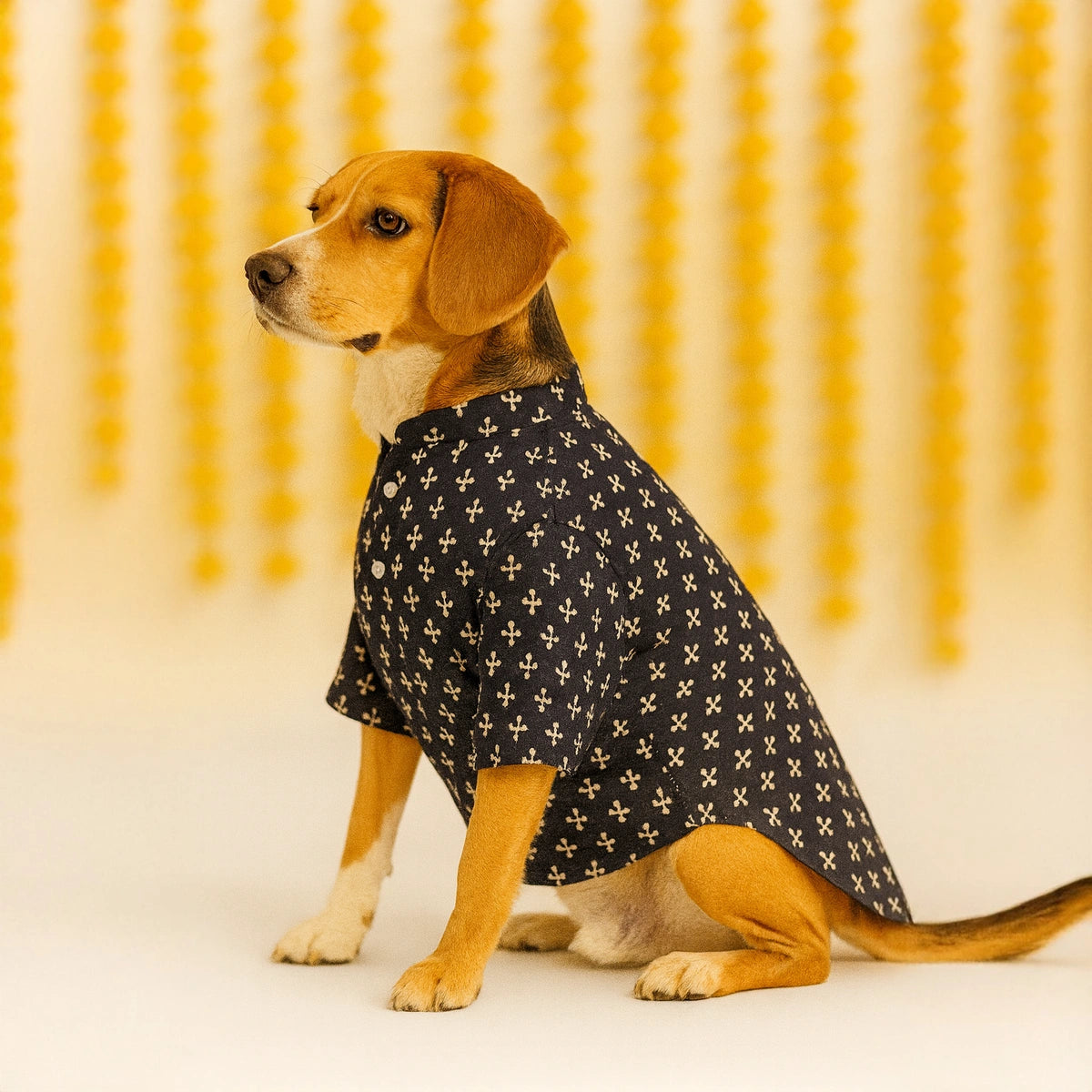 Thunder Tails Black Festive Kurta