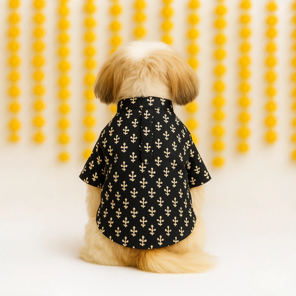 Thunder Tails Black Festive Kurta