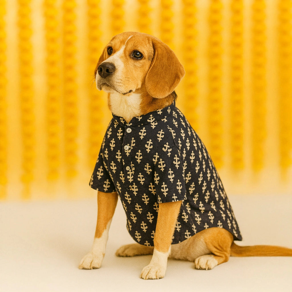 Thunder Tails Black Festive Kurta