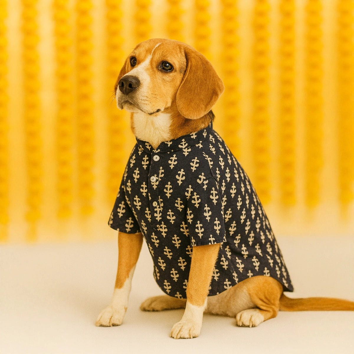 Thunder Tails Black Festive Kurta