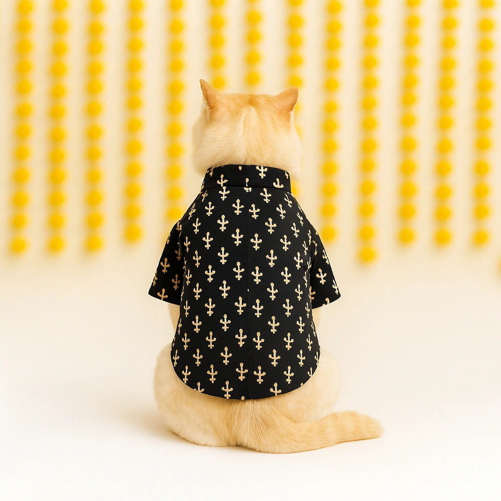 Thunder Tails Black Cat Festive Kurta