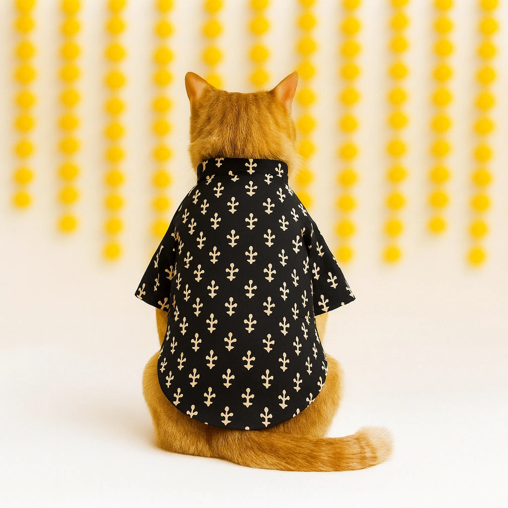 Thunder Tails Black Cat Festive Kurta