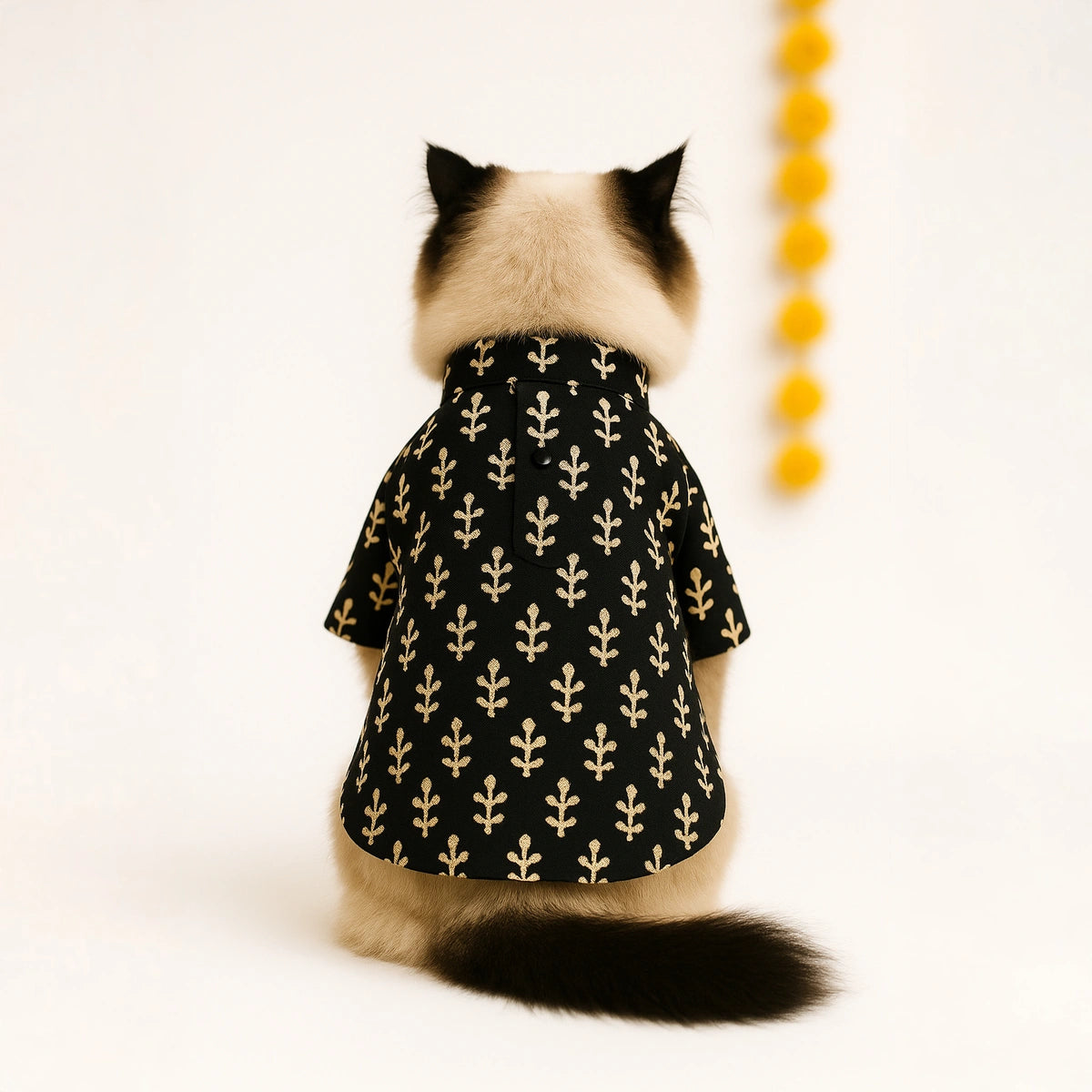 Thunder Tails Black Cat Festive Kurta