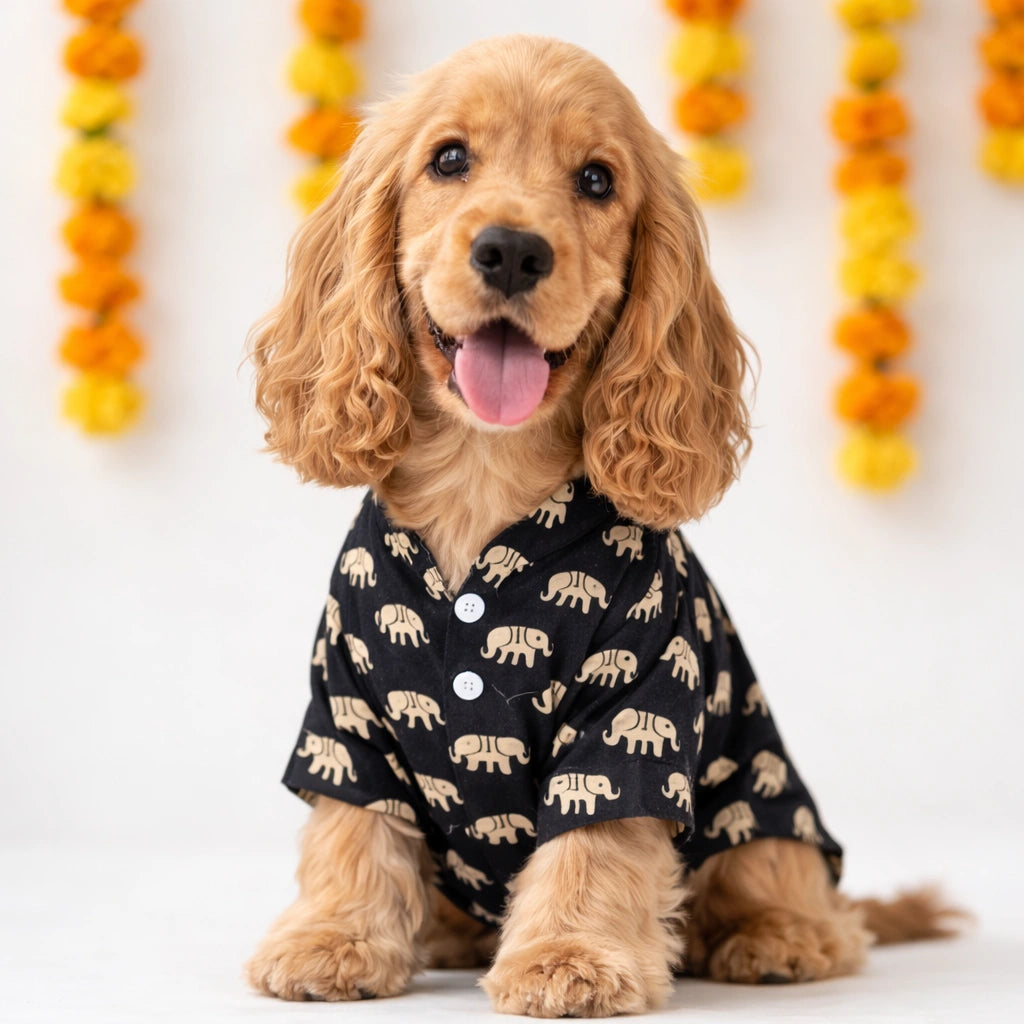 Thunder Tails Black Elephant Festive Kurta