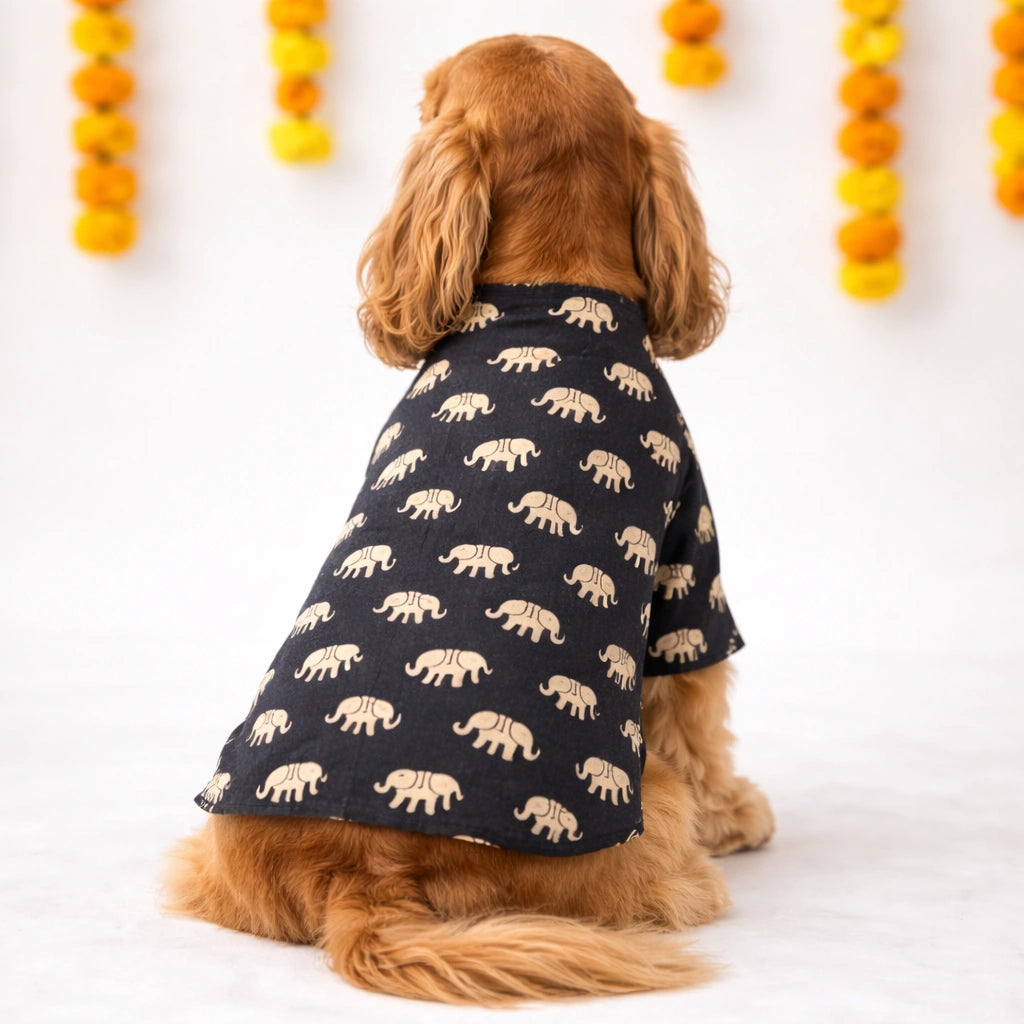 Thunder Tails Black Elephant Festive Kurta