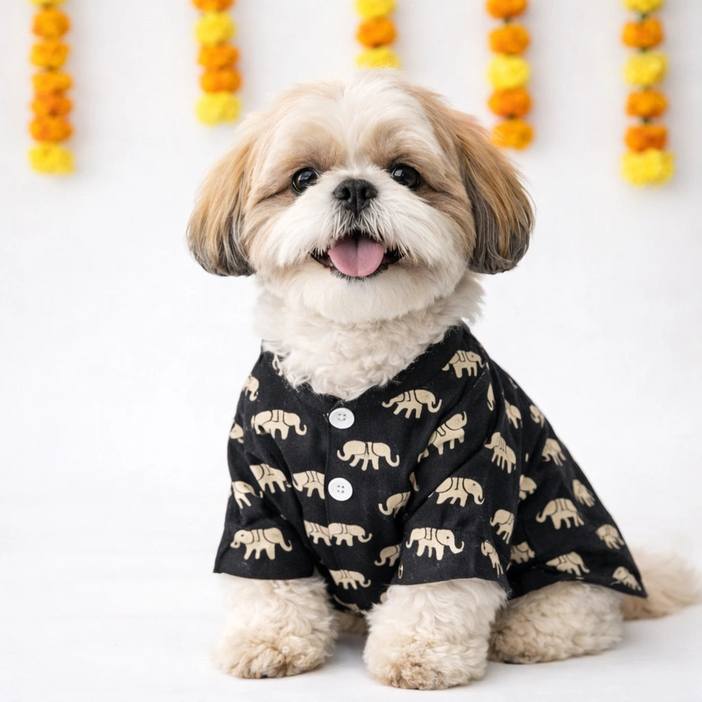 Thunder Tails Black Elephant Festive Kurta