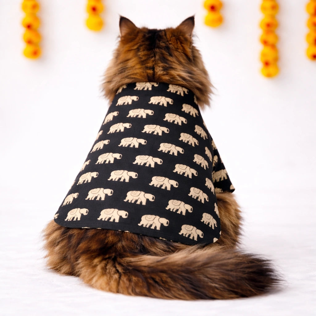 Thunder Tails Black Elephant Cat Festive Kurta