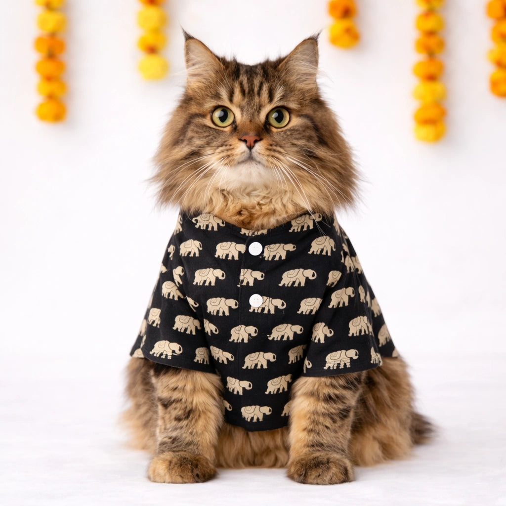 Thunder Tails Black Elephant Cat Festive Kurta
