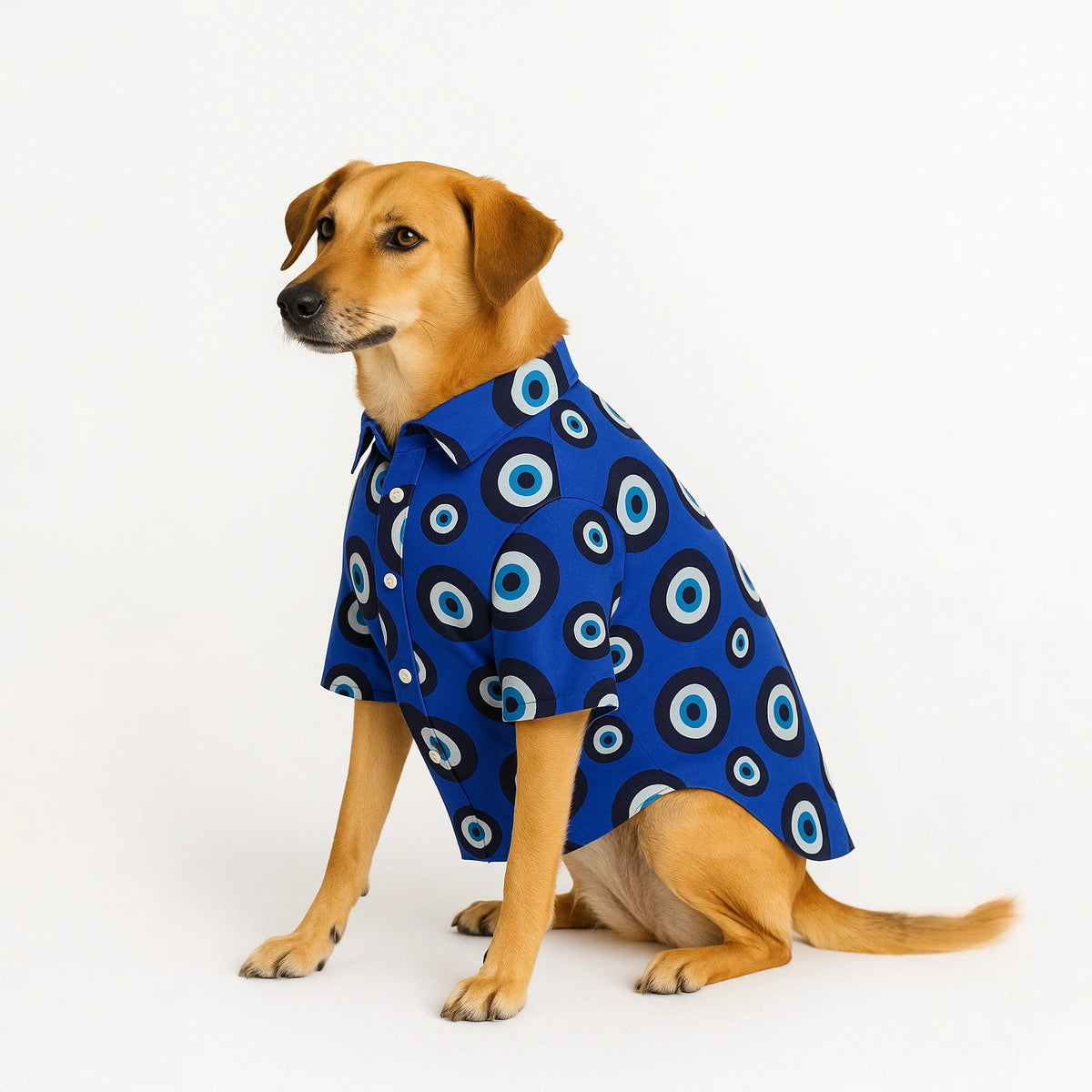 Thunder Tails Blue Evil Eye Casual Shirt