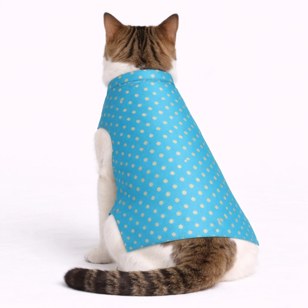 Thunder Tails Pink Blue Cat Festive Sherwani