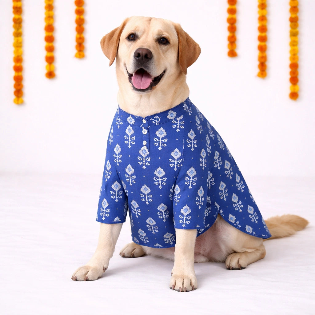 Thunder Tails Black Blue Festive Dog Kurta