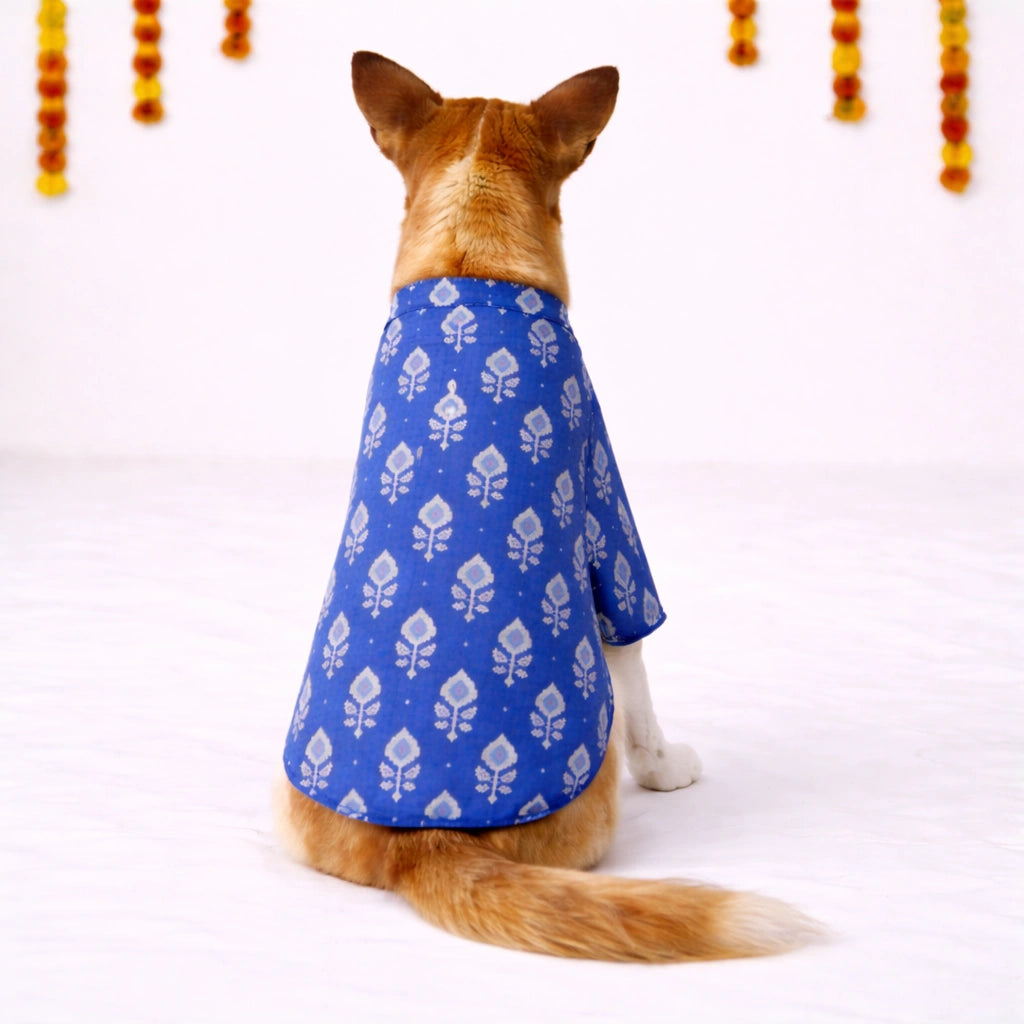 Thunder Tails Black Blue Festive Dog Kurta