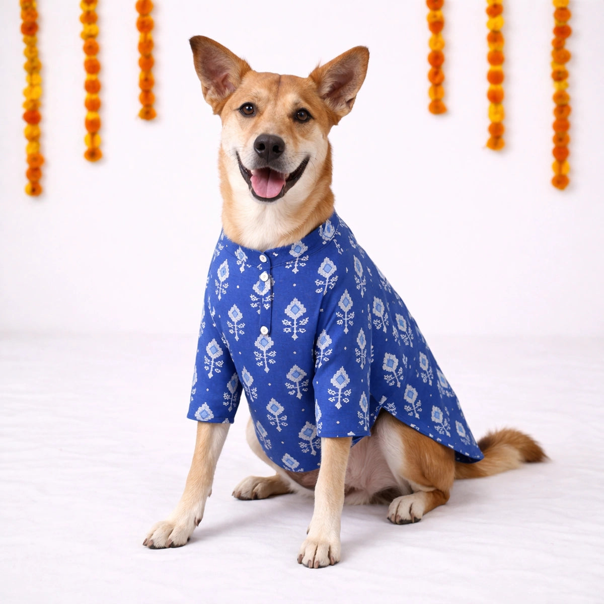 Thunder Tails Black Blue Festive Dog Kurta
