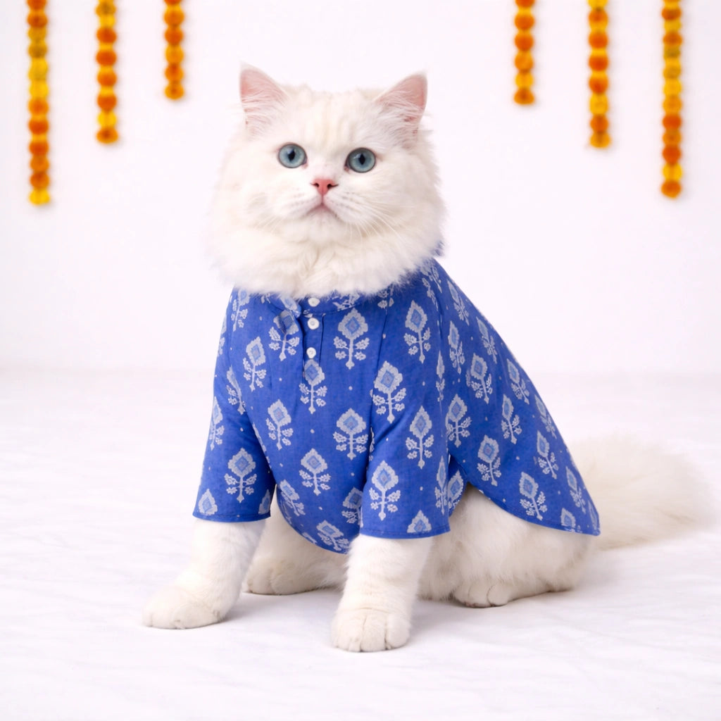 Thunder Tails Blue Cat Festive Kurta