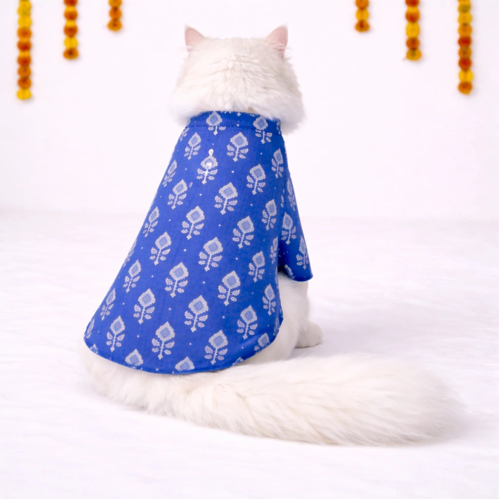 Thunder Tails Blue Cat Festive Kurta