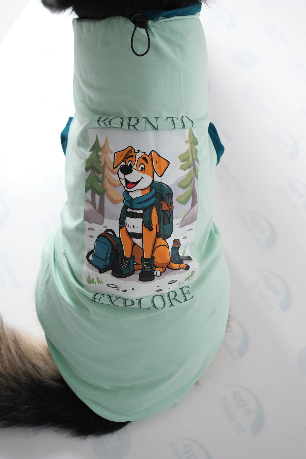 Thunder Tails BORN TO EXPLORE Adjustable Graphic T-shirt