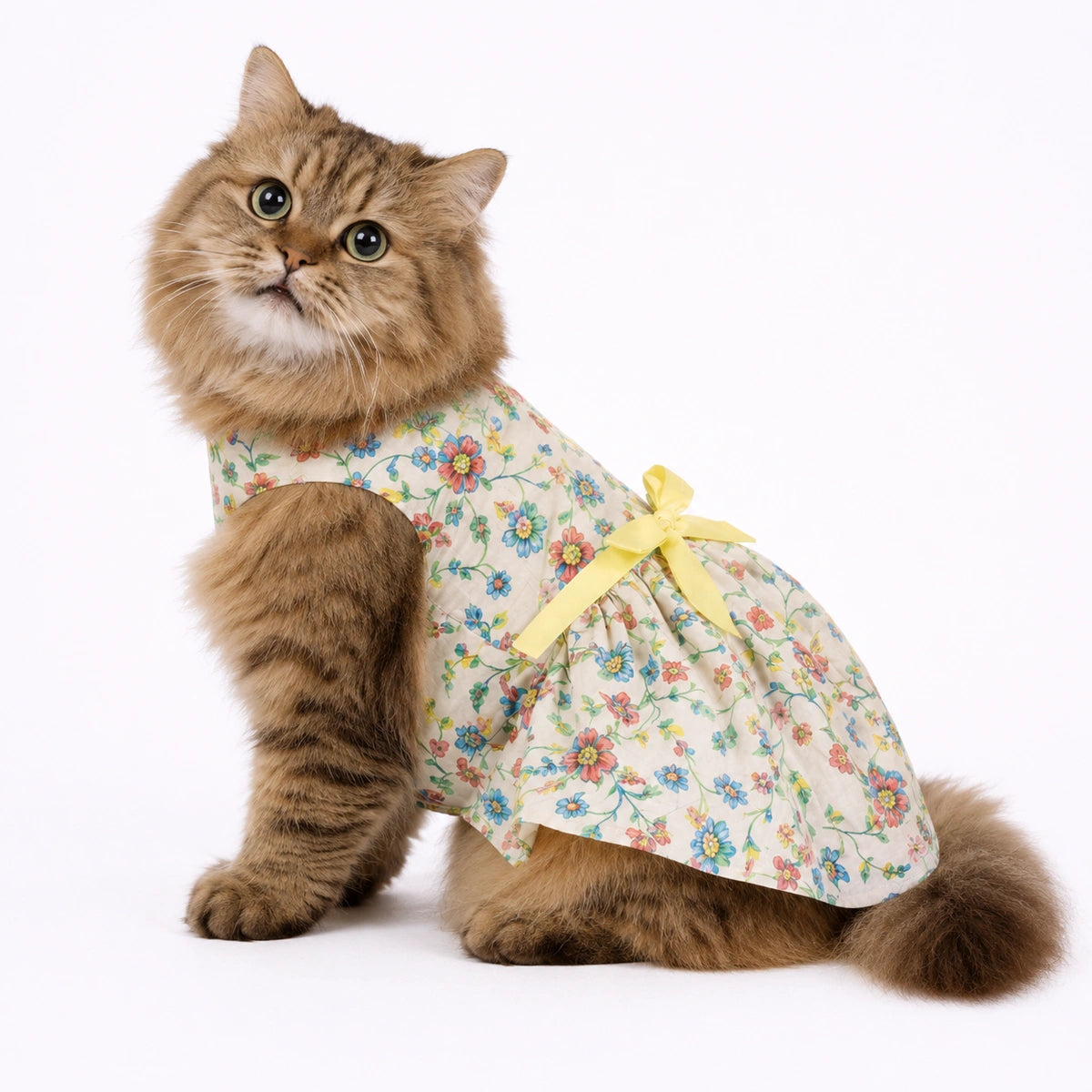 Thunder Tails Beige Floral Frock